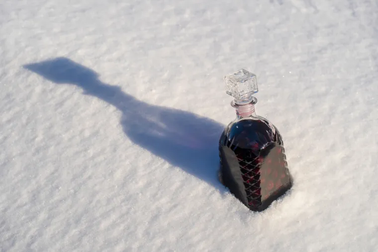 Mitovi o preživljavanju koji vas mogu ko&scaron;tati života: Ovo nikako ne biste trebali raditi