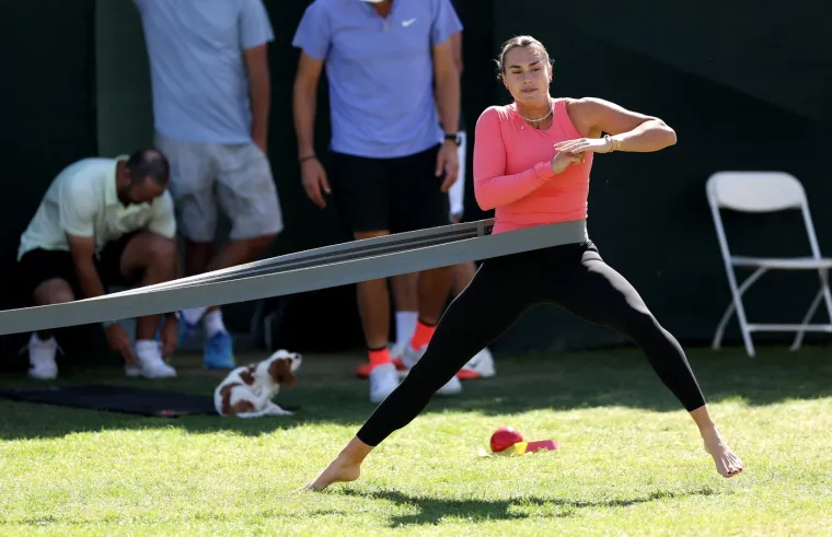 Top 10 najplaćenijih sporta&scaron;ica na svijetu: Od nule do uzora i debelih novčanika