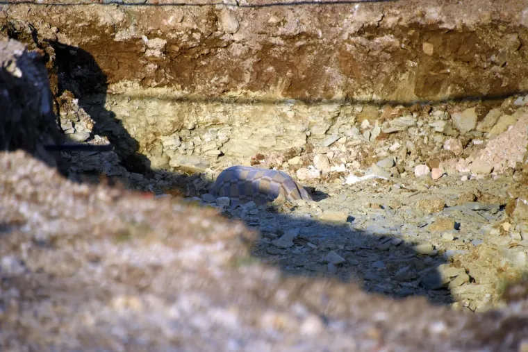 Pazin pod opsadom: Uklonjena bomba iz Drugog svjetskog rata