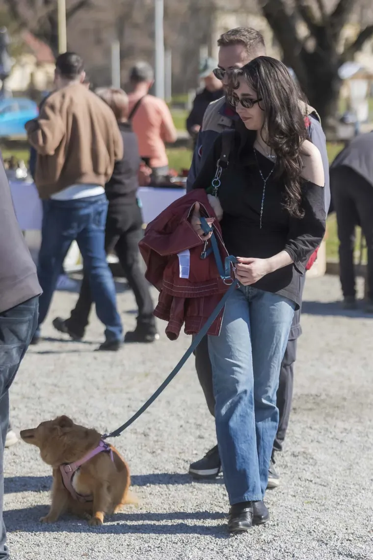 Legica za kojom su se svi okretali: Brineta s dugim nogama zasjala na sajmu u Osijeku