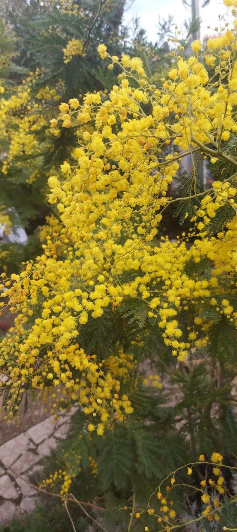 Biljka koja privlači pažnju. Uživajte u najljep&scaron;im prizorima stvorenima va&scaron;im objektivima