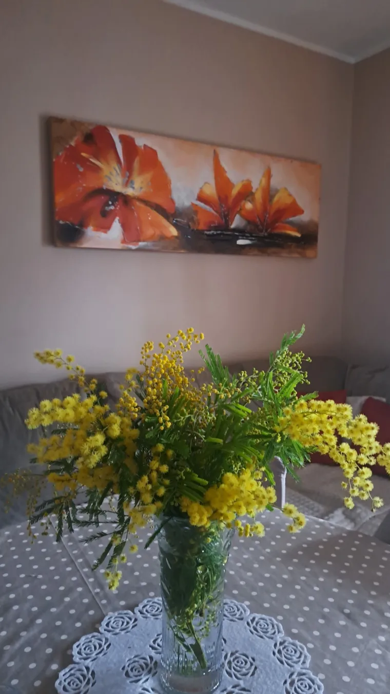 Biljka koja privlači pažnju. Uživajte u najljep&scaron;im prizorima stvorenima va&scaron;im objektivima