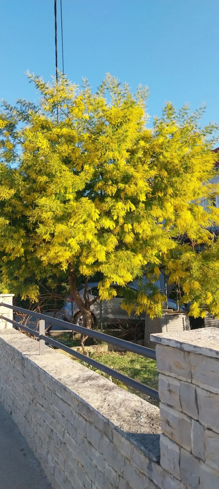 Biljka koja privlači pažnju. Uživajte u najljep&scaron;im prizorima stvorenima va&scaron;im objektivima