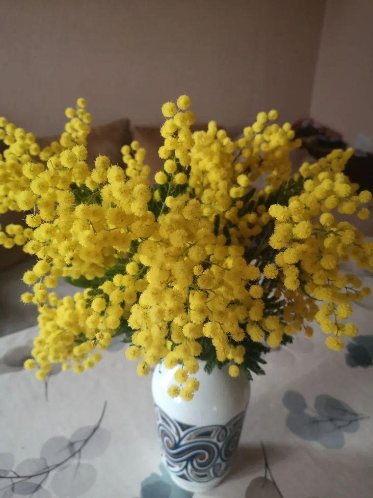 Biljka koja privlači pažnju. Uživajte u najljep&scaron;im prizorima stvorenima va&scaron;im objektivima