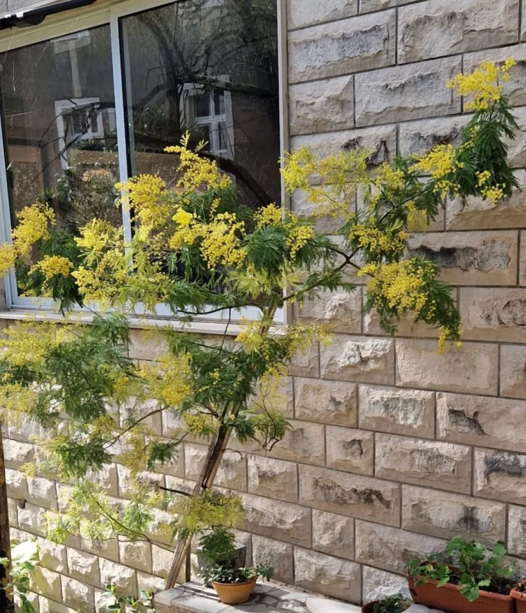 Biljka koja privlači pažnju. Uživajte u najljep&scaron;im prizorima stvorenima va&scaron;im objektivima