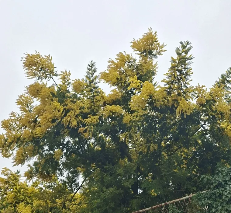 Biljka koja privlači pažnju. Uživajte u najljep&scaron;im prizorima stvorenima va&scaron;im objektivima