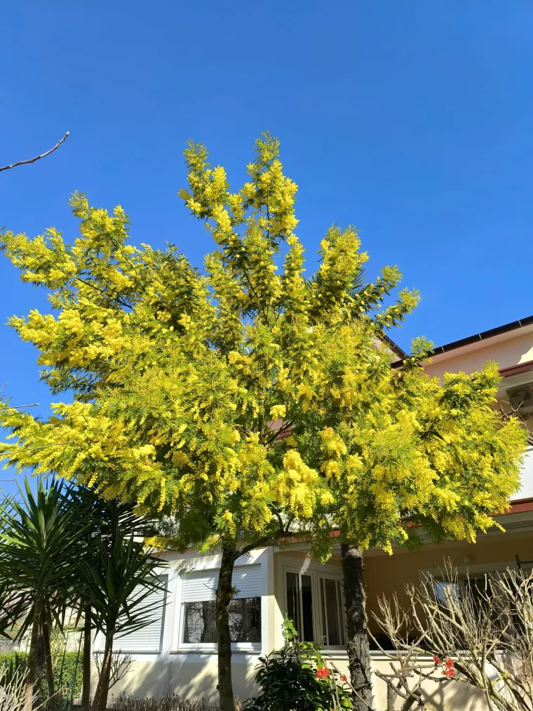 Biljka koja privlači pažnju. Uživajte u najljep&scaron;im prizorima stvorenima va&scaron;im objektivima