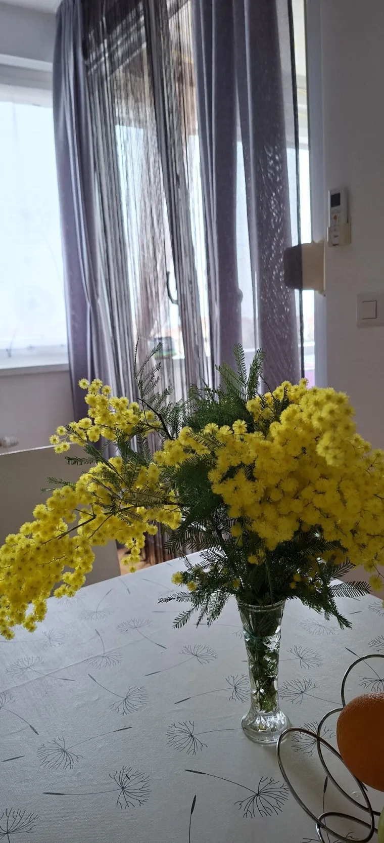 Biljka koja privlači pažnju. Uživajte u najljep&scaron;im prizorima stvorenima va&scaron;im objektivima