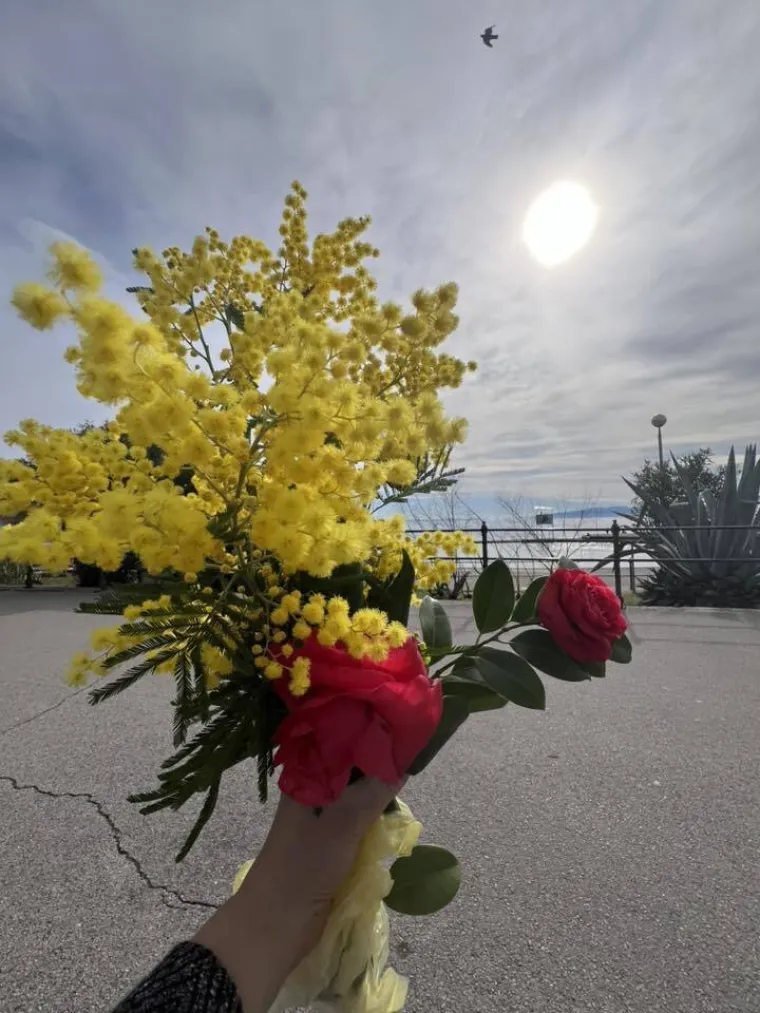 Biljka koja privlači pažnju. Uživajte u najljep&scaron;im prizorima stvorenima va&scaron;im objektivima