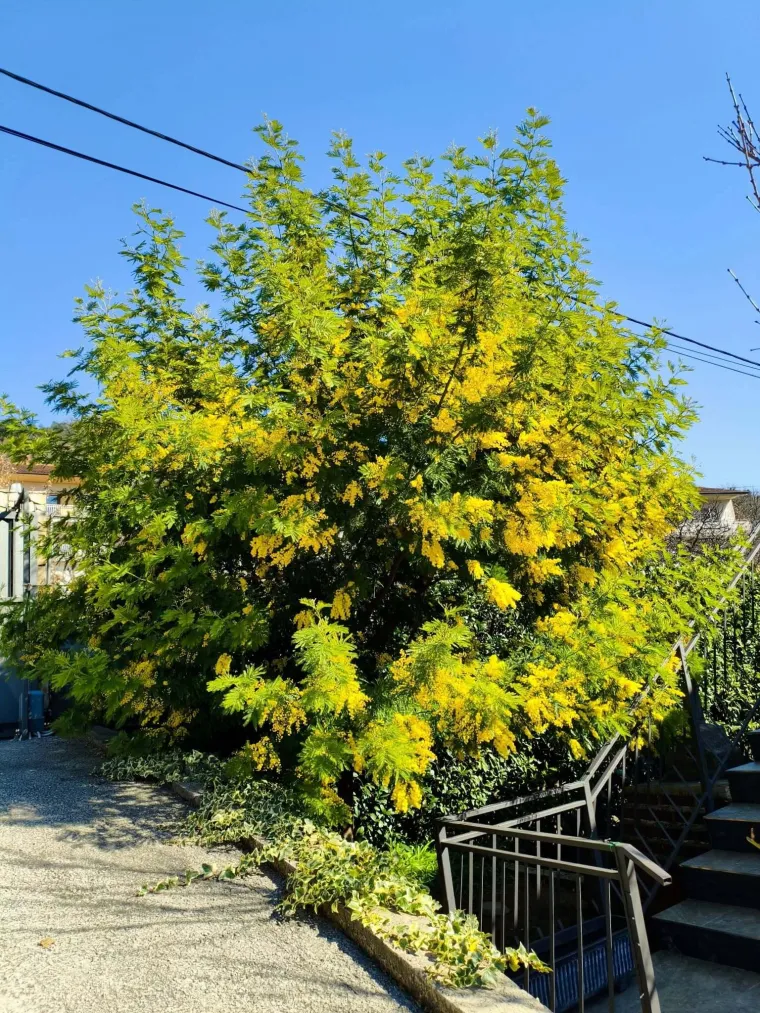 Biljka koja privlači pažnju. Uživajte u najljep&scaron;im prizorima stvorenima va&scaron;im objektivima