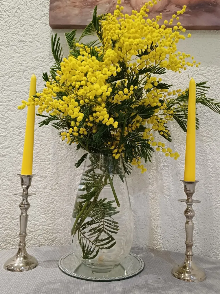 Biljka koja privlači pažnju. Uživajte u najljep&scaron;im prizorima stvorenima va&scaron;im objektivima