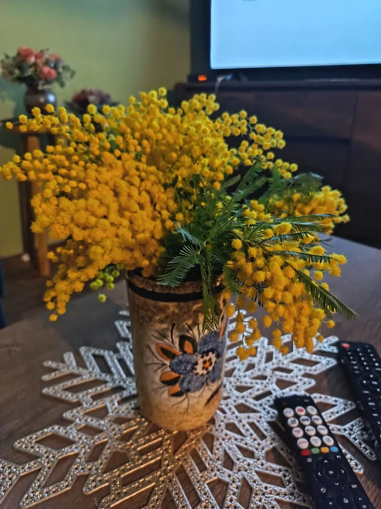 Biljka koja privlači pažnju. Uživajte u najljep&scaron;im prizorima stvorenima va&scaron;im objektivima