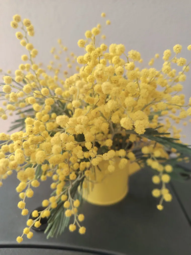 Biljka koja privlači pažnju. Uživajte u najljep&scaron;im prizorima stvorenima va&scaron;im objektivima