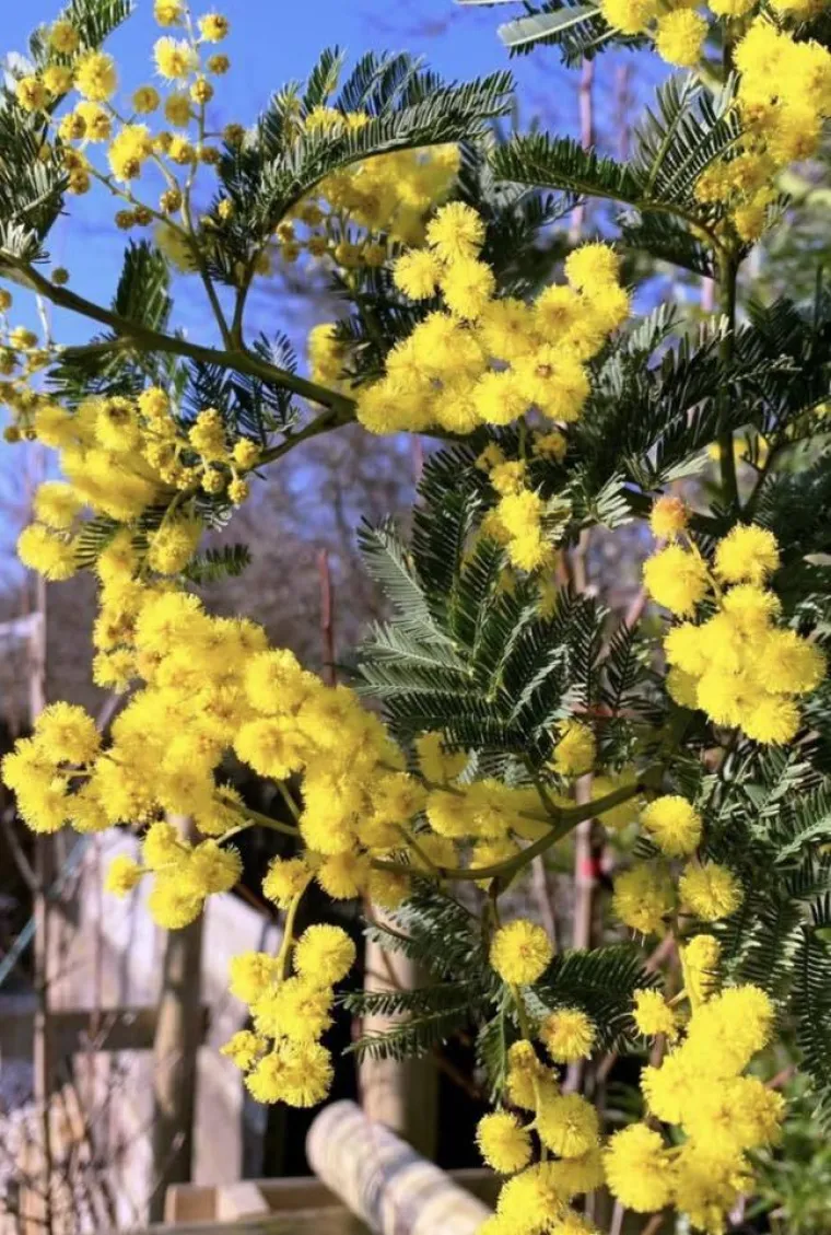 Biljka koja privlači pažnju. Uživajte u najljep&scaron;im prizorima stvorenima va&scaron;im objektivima