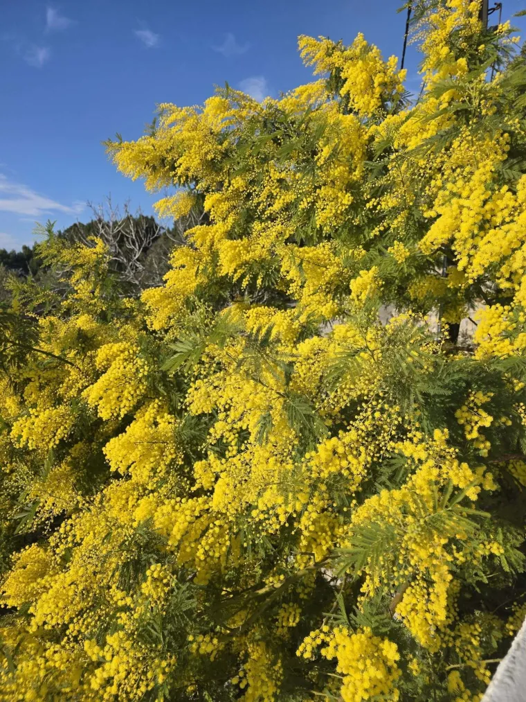 Biljka koja privlači pažnju. Uživajte u najljep&scaron;im prizorima stvorenima va&scaron;im objektivima