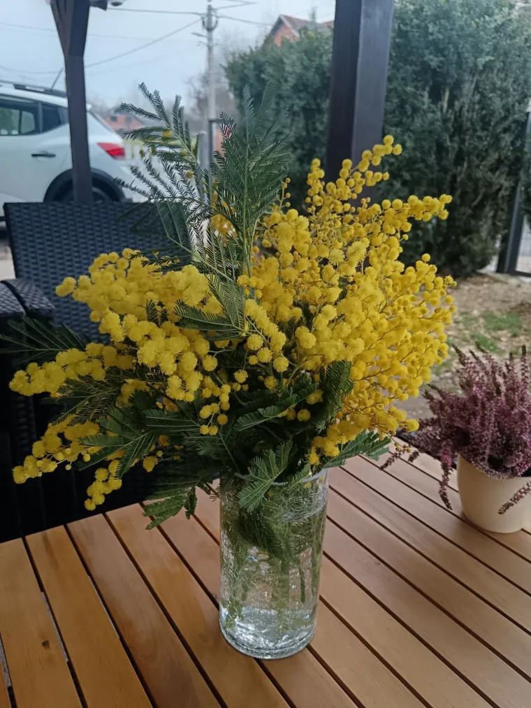 Biljka koja privlači pažnju. Uživajte u najljep&scaron;im prizorima stvorenima va&scaron;im objektivima