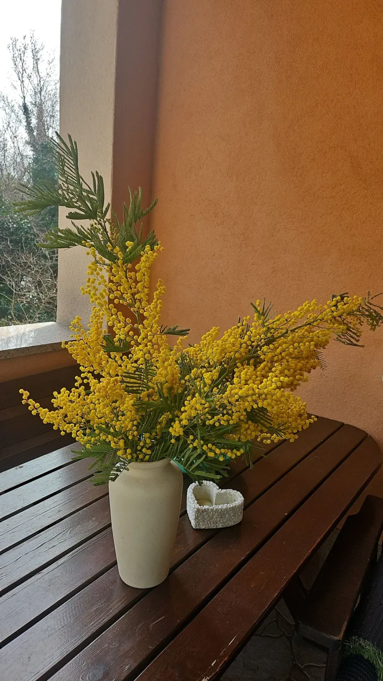 Biljka koja privlači pažnju. Uživajte u najljep&scaron;im prizorima stvorenima va&scaron;im objektivima