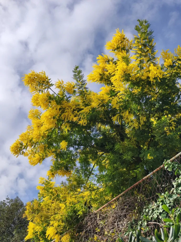 Biljka koja privlači pažnju. Uživajte u najljep&scaron;im prizorima stvorenima va&scaron;im objektivima