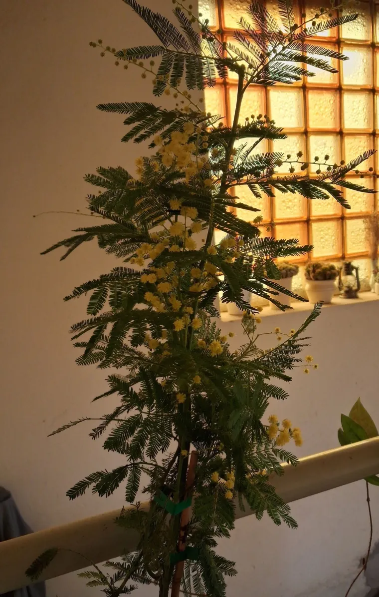 Biljka koja privlači pažnju. Uživajte u najljep&scaron;im prizorima stvorenima va&scaron;im objektivima