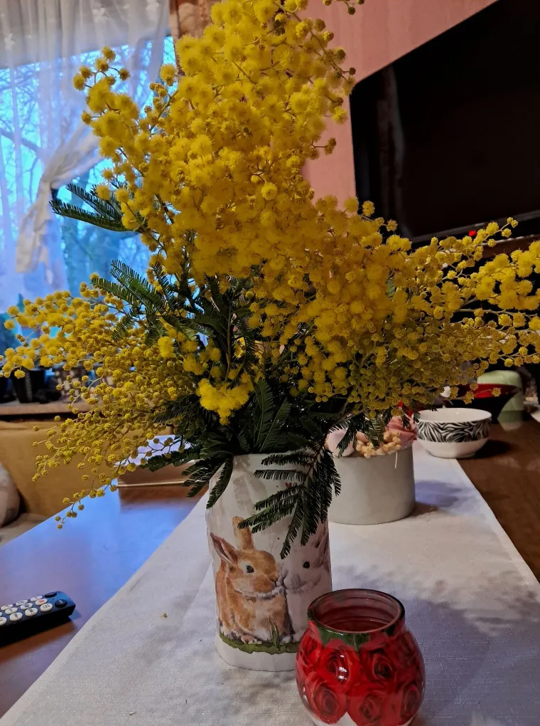 Biljka koja privlači pažnju. Uživajte u najljep&scaron;im prizorima stvorenima va&scaron;im objektivima