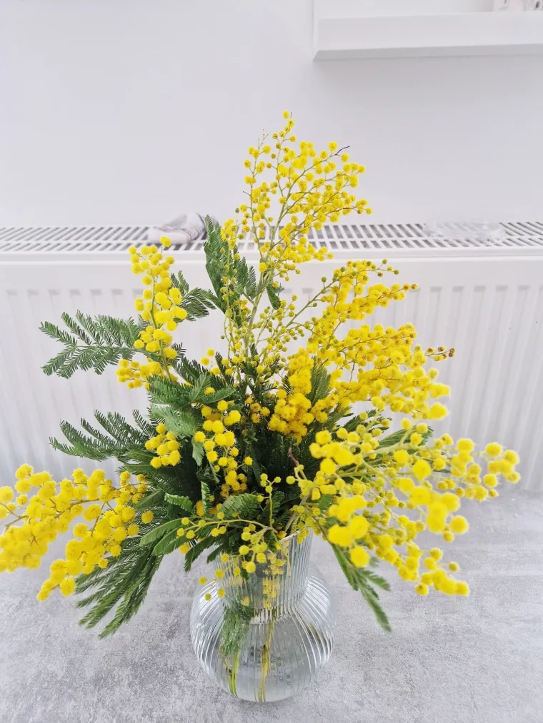 Biljka koja privlači pažnju. Uživajte u najljep&scaron;im prizorima stvorenima va&scaron;im objektivima