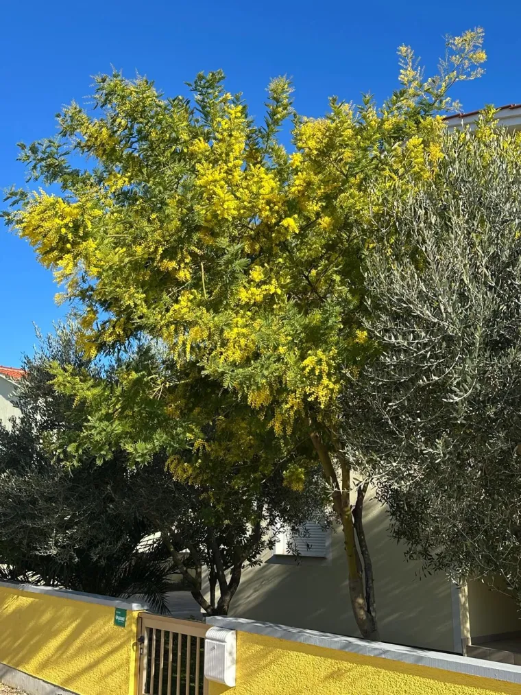 Biljka koja privlači pažnju. Uživajte u najljep&scaron;im prizorima stvorenima va&scaron;im objektivima