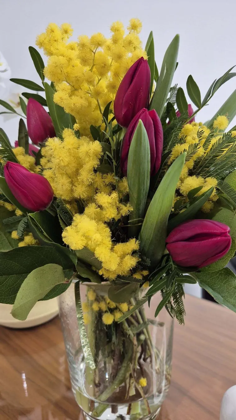 Biljka koja privlači pažnju. Uživajte u najljep&scaron;im prizorima stvorenima va&scaron;im objektivima