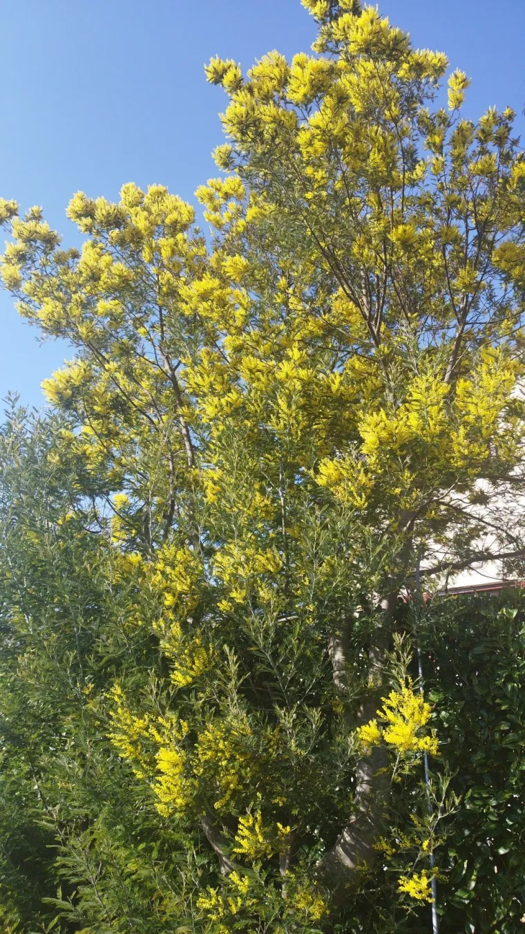 Biljka koja privlači pažnju. Uživajte u najljep&scaron;im prizorima stvorenima va&scaron;im objektivima