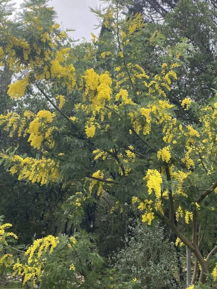 Biljka koja privlači pažnju. Uživajte u najljep&scaron;im prizorima stvorenima va&scaron;im objektivima