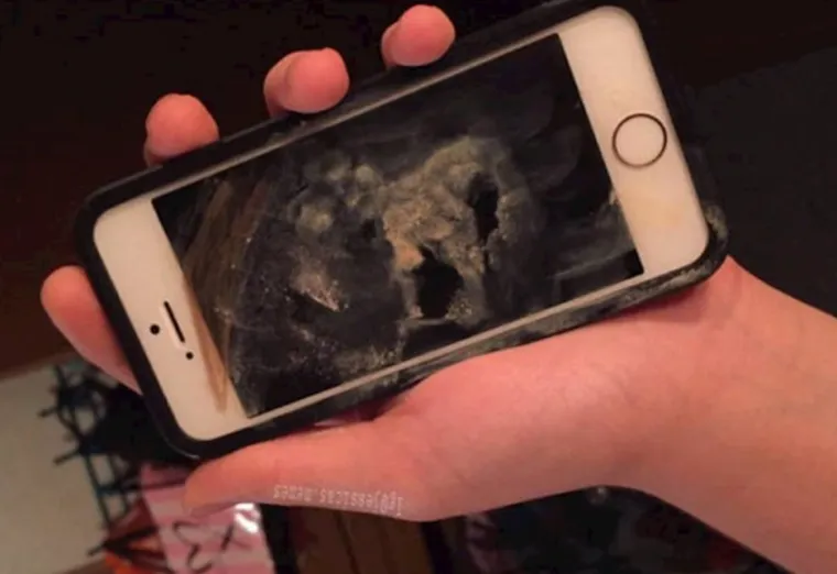 Ove fotografije će naživcirati i one najsmirenije osobe: Neke su ba&scaron; jako iritantne