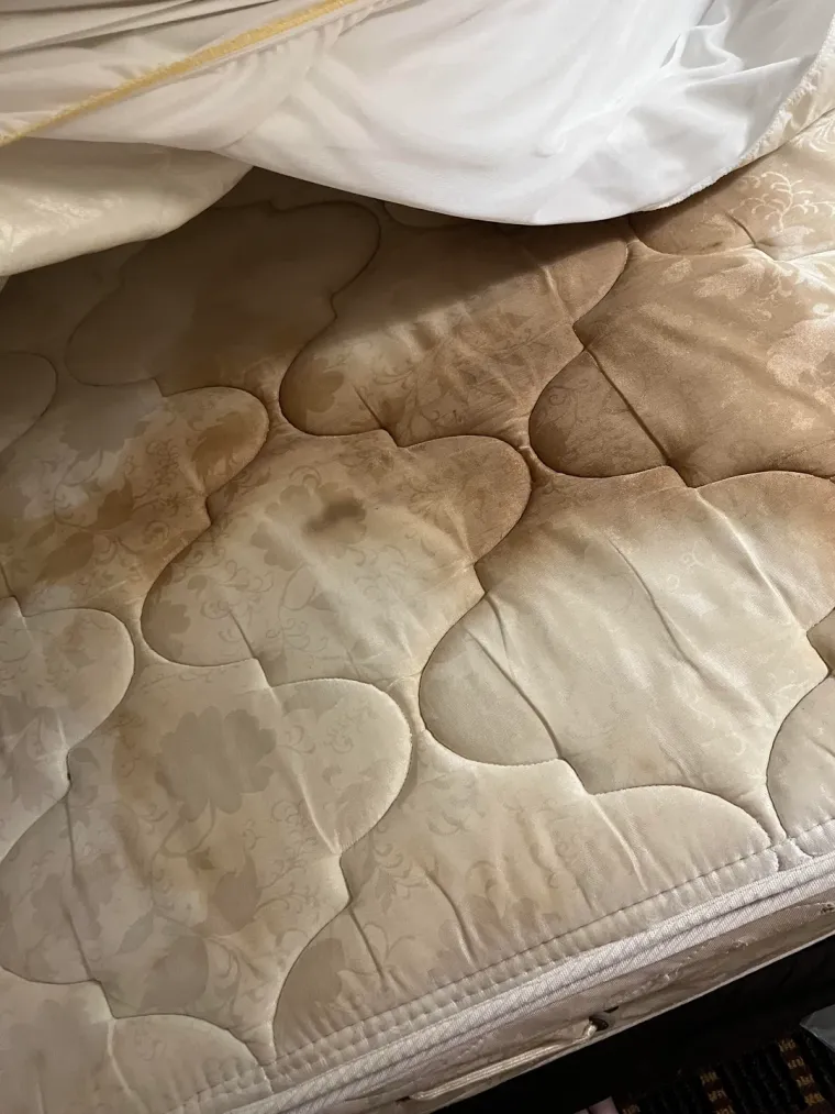 Ovo su zasigurno najgore hotelske sobe u koje su gosti ikad kročili, prizori će vas zgroziti