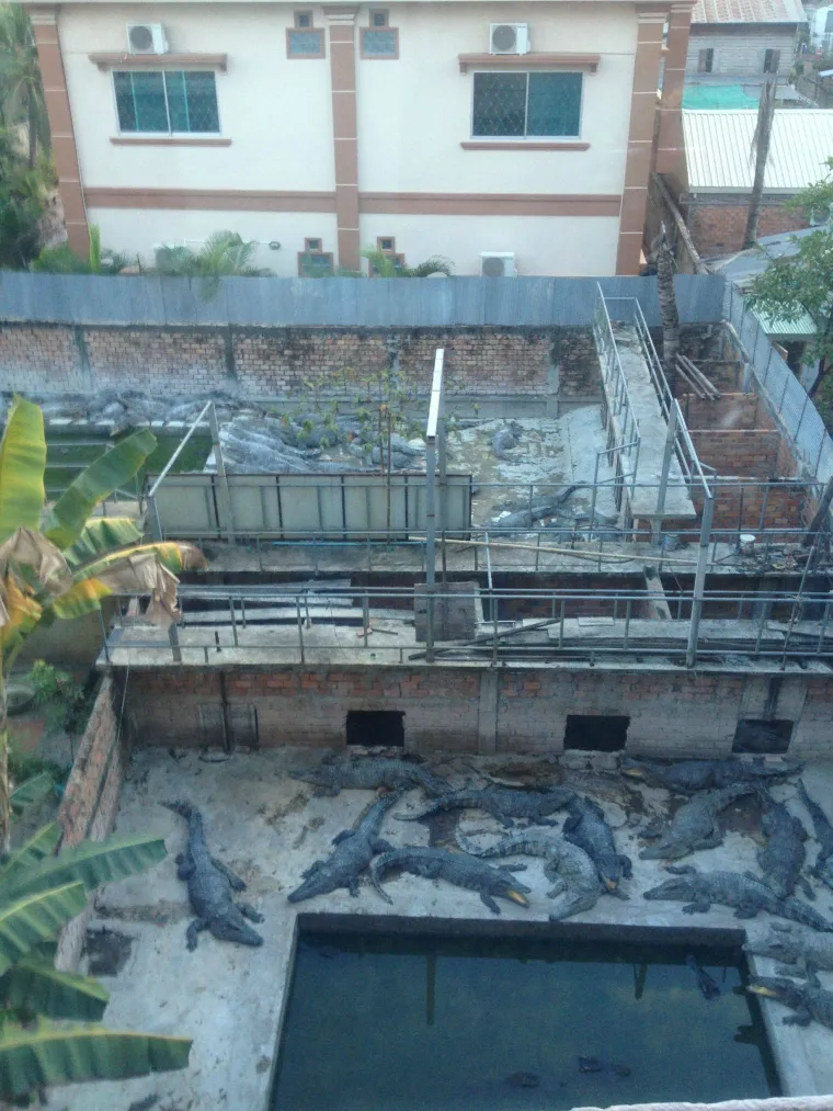 Ovo su zasigurno najgore hotelske sobe u koje su gosti ikad kročili, prizori će vas zgroziti