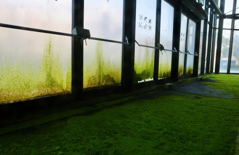 Unutra&scaron;njost Spaladium Arene izgleda kao horor: Plijesan, vlaga, samo &scaron;to &scaron;takori ne hodaju...