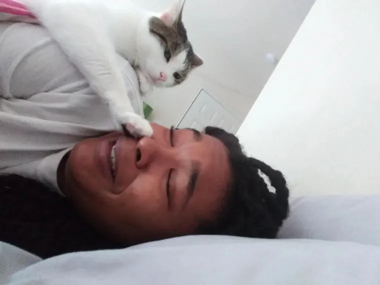 Čisti neodoljivi teroristi: Tako to izgleda kada mace podemone i odluče da će po svome