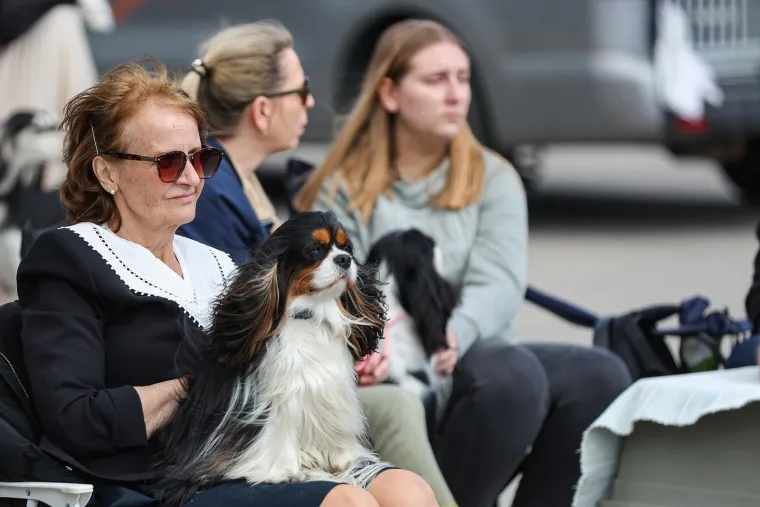 &Scaron;ape, repići i čupava 'slatkoća' na najjače: Ove nju&scaron;ke osvojile su Hrvatsku!