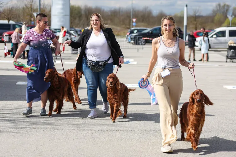 &Scaron;ape, repići i čupava 'slatkoća' na najjače: Ove nju&scaron;ke osvojile su Hrvatsku!