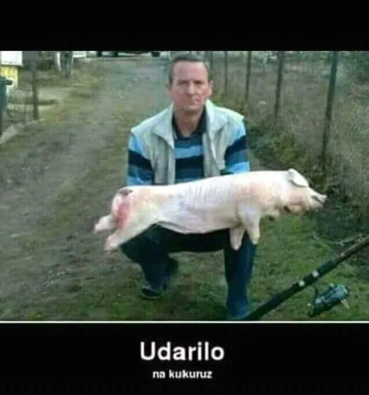 Tražili smo vas da nam po&scaron;aljete najsmje&scaron;nije memove koje ste vidjeli: Ovi su čisti urnebes