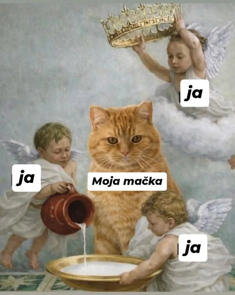 Tražili smo vas da nam po&scaron;aljete najsmje&scaron;nije memove koje ste vidjeli: Ovi su čisti urnebes