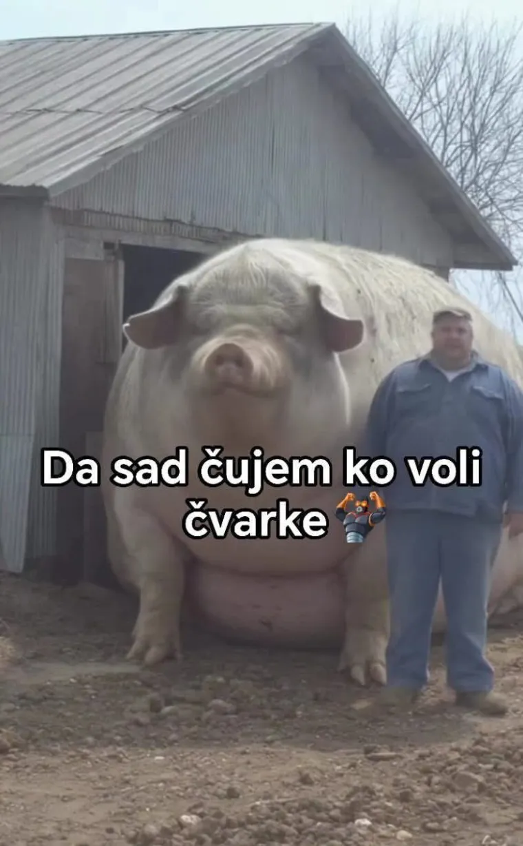 Tražili smo vas da nam po&scaron;aljete najsmje&scaron;nije memove koje ste vidjeli: Ovi su čisti urnebes