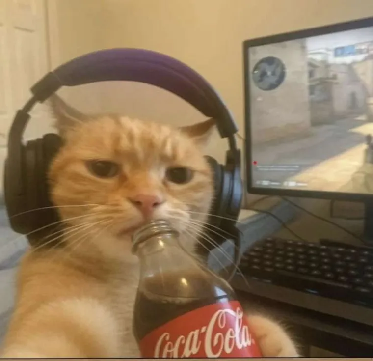 Tražili smo vas da nam po&scaron;aljete najsmje&scaron;nije memove koje ste vidjeli: Ovi su čisti urnebes