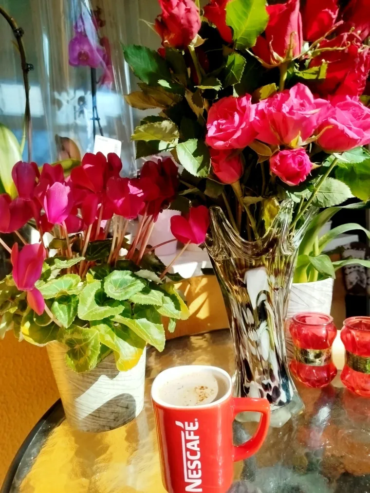 Diva među cvijećem: Vjeruje se da donosi mir i &scaron;titi od negativne energije