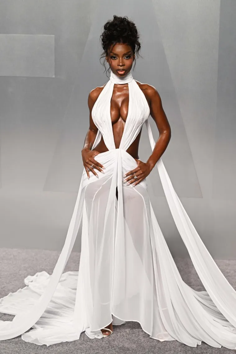 Haljine koje su otkrile ba&scaron; sve: Top 20 najprovokativnijih izdanja koja su zapalila afterparty