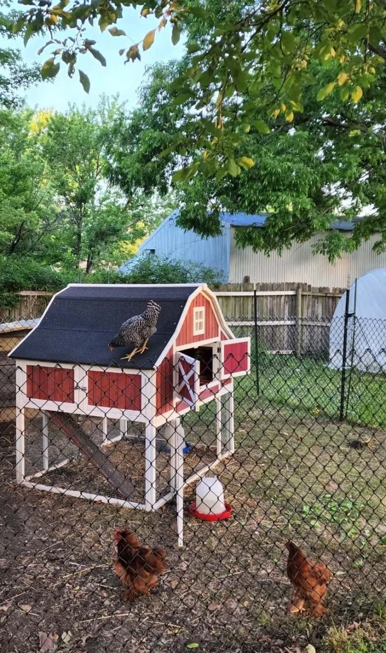 Otkrila je tri korisna savjeta u slučaju rata: Ne ignorirajte ih, mogli bi vam spasiti život!