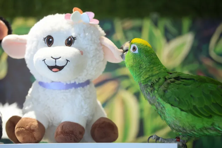 U Zagrebu otvoren kafić u kojem su mace prave zvijezde, ali nisu i jedino slatko 'krzneno osoblje'