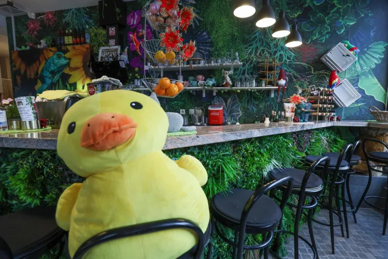 U Zagrebu otvoren kafić u kojem su mace prave zvijezde, ali nisu i jedino slatko 'krzneno osoblje'