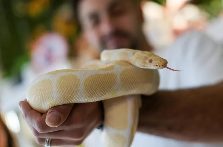 U Zagrebu otvoren kafić u kojem su mace prave zvijezde, ali nisu i jedino slatko 'krzneno osoblje'