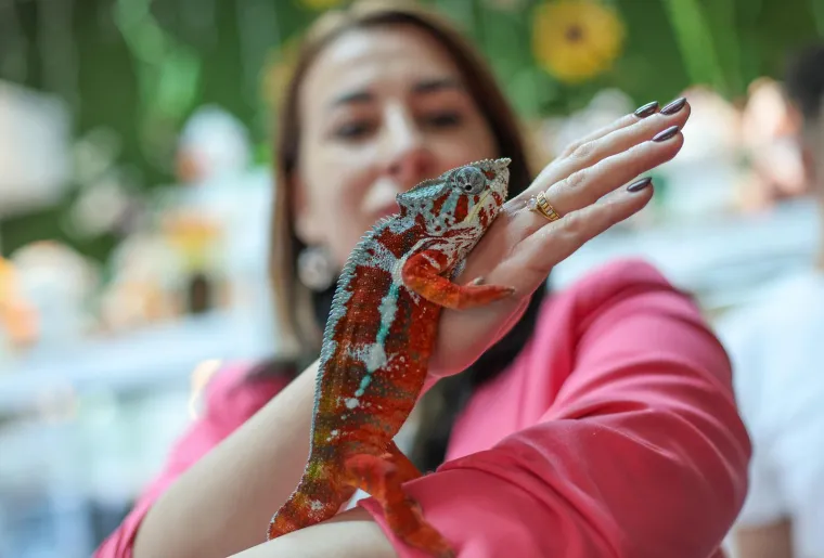 U Zagrebu otvoren kafić u kojem su mace prave zvijezde, ali nisu i jedino slatko 'krzneno osoblje'
