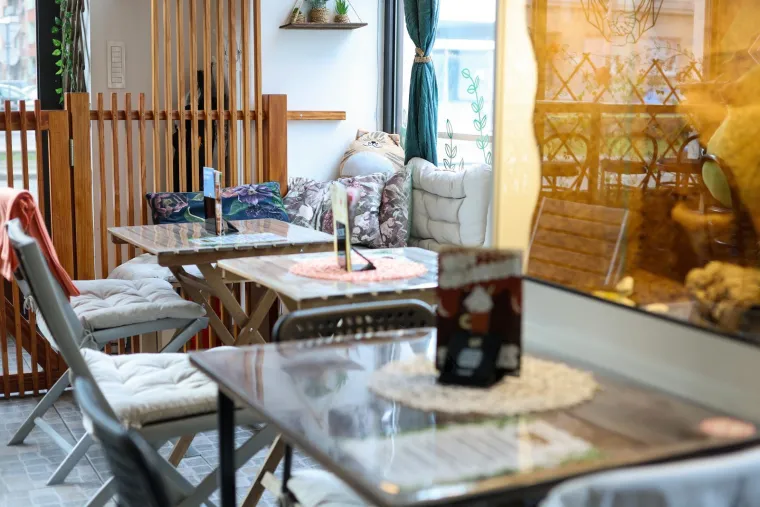 U Zagrebu otvoren kafić u kojem su mace prave zvijezde, ali nisu i jedino slatko 'krzneno osoblje'