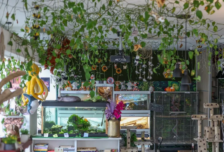 U Zagrebu otvoren kafić u kojem su mace prave zvijezde, ali nisu i jedino slatko 'krzneno osoblje'