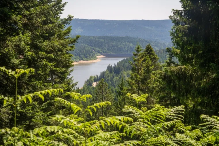 Među 29 dragulja europske prirode na&scaron;ao se jedan hrvatski: Pogledajte tu ljepotu!